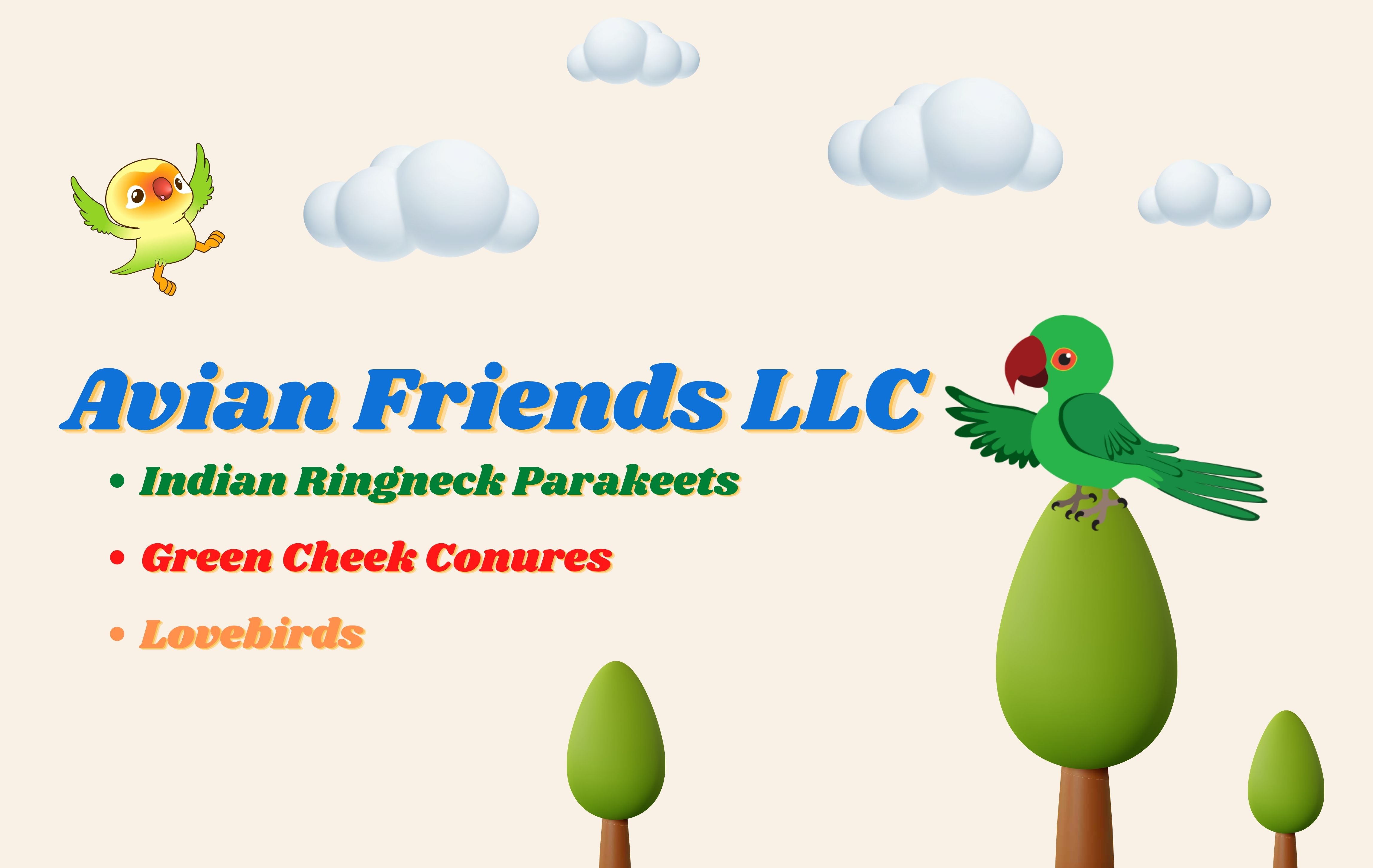 image of cartoon like scene with trees, a couple birds, the name of the business which is avian friends and the list of birds we breed which is Indian Ringneck Parakeets, Gouldian Finches and Lovebirds